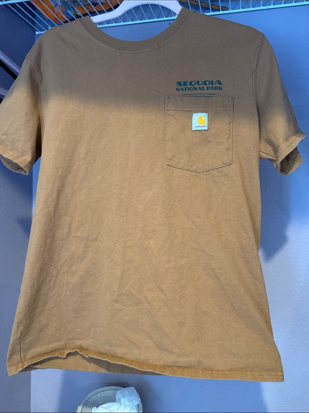 Carhartt Brown Sequoia National Park Pocket Tee